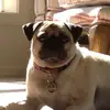 Beatriz Yu - @ceil14522 - TikTok