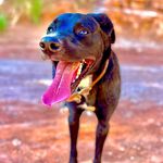 Beau Alexander 🦴 - @_beaualexander_ - Instagram