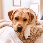 Beau Alexander Smith - @beaualexander__ - Instagram