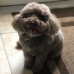 Beau Alvarez - @beau_alvarez_ - Instagram