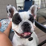 Beau Anthony - Facebook