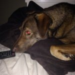 Beau Armstrong - @_beau11_ - Instagram