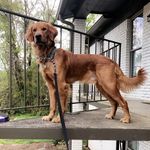 Beau Armstrong - @beau_armstrong_ - Instagram