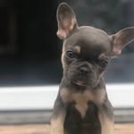 Beau Arnold - @beau_arnold7 - Instagram