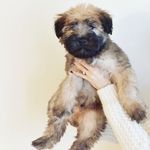 Beau Baxter - @beaubaxter - Instagram