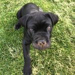 Beau Baxter -Aka- Bostradamus - @bo_stradamus - Instagram