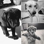 Beau Baxter Ruger - @beau.baxter.ruger - Instagram