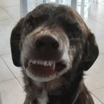 Beau Benton - @beau.benton.02 - Instagram