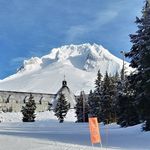Beau Biggs - @biggsbeau - Instagram