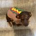 Beau Bone - Facebook