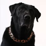 Beau “Bobo” Boyer Reynolds - @meestabobo - Instagram