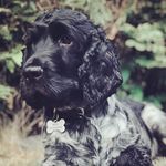 Beau Browning - @beau__browning - Instagram
