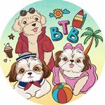beau.twinkle.bruno - @beau.twinkle.bruno - Instagram