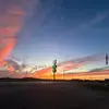 Beau - @beau_buchanan08 - TikTok