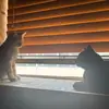 beau.buchanan12 - @beau.buchanan12 - TikTok