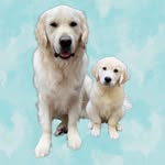 Beau & Finn Buckley - @goldenbuckleyboys - Instagram