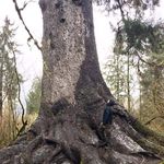 Beau Burke - @filtersweep - Instagram