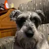beau_burns0 - @beau_burns0 - TikTok