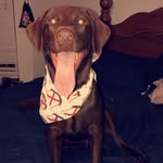 Beau Burns - @beaubeau_4 - Instagram