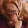 grace butler - @busterbeau - TikTok