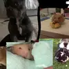 beaubuttons - @beaubuttons - TikTok