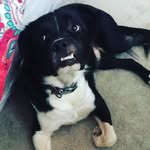 Beau Byrd - @ninjabeaufer - Instagram