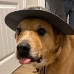 Beaucannon - @beaucannonok - Instagram