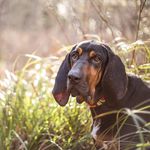 Beau Waylon Carroll - @beauwaylon - Instagram