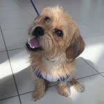 Beau Castro - @beaubletea - Instagram