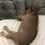 Beau.Chambers - @beau.chambers5 - Instagram