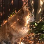 beau - @beau_b_chapman739 - Instagram
