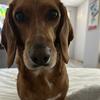 Beaux’s Mom - @beauxcharlesstackhouse - TikTok
