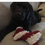 Beau_Chavez - @beau_bear_chavez - Instagram
