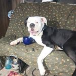 Beau Cherry - @beau.cherry - Instagram