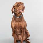 Beau Cherry - @beaubeaucherry - Instagram