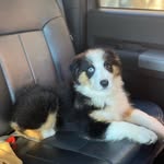 Beau Clements - @the_beau_clements - Instagram
