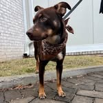Beau Cohenour - @beau_cohenour - Instagram