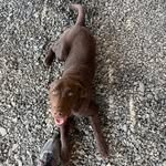 Beau Collier - @beau_berry__biscuit - Instagram