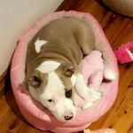 Beau Crawley - @beau.crawley.7 - Instagram