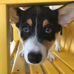 Beau Crowell - @beaucrowell - Instagram