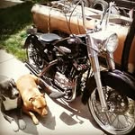 B.C. customs - @beaucurry - Instagram