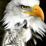 BeauCurry - @beaucurr - Instagram