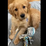 Beau Dailey - @the_dailey_beau - Instagram