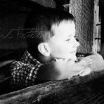 Beau Dalton - Facebook