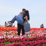Beau & David - @beau.and.david - Instagram
