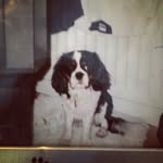 Beau Day - @day.beau - Instagram