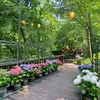 ✨🦋 - @beauday19 - TikTok