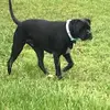 Furfriends01 - @beauday3 - TikTok