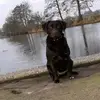 beau.rohaan - @xbeau.deliefstex - TikTok