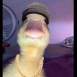 Beau DeWitt - @beau_burrito0 - Instagram